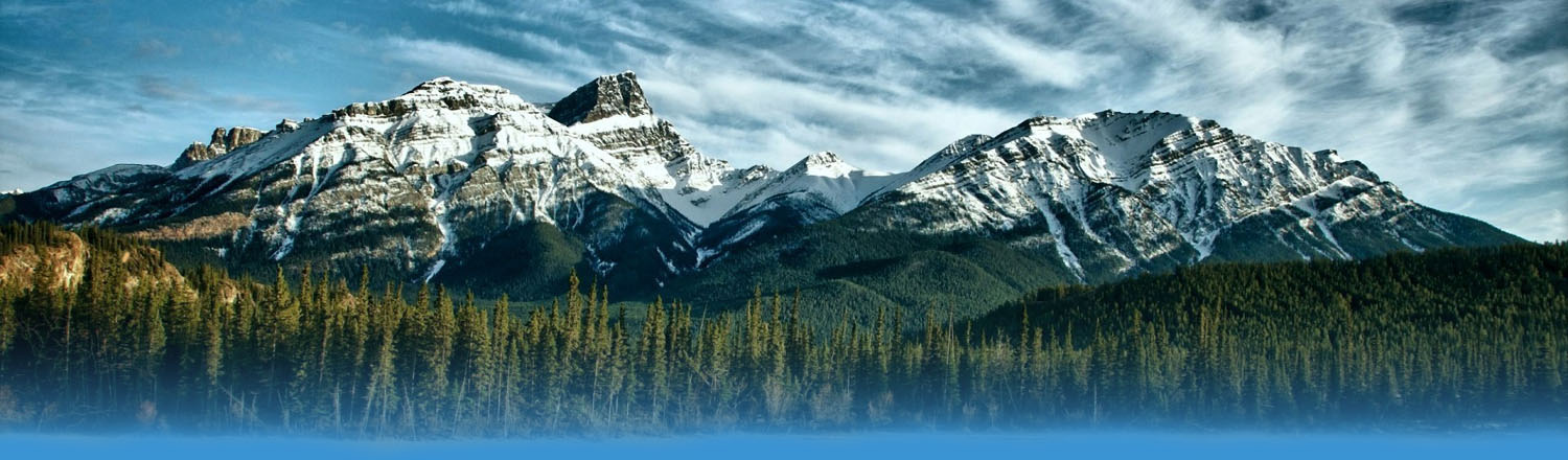 Wilderness Header Top